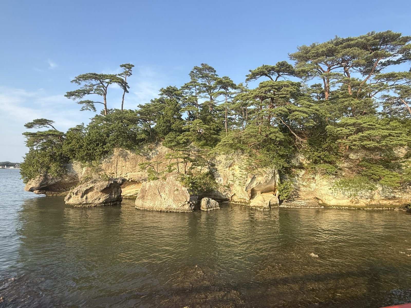 松島福浦島海岸奇岩與松樹自然美景