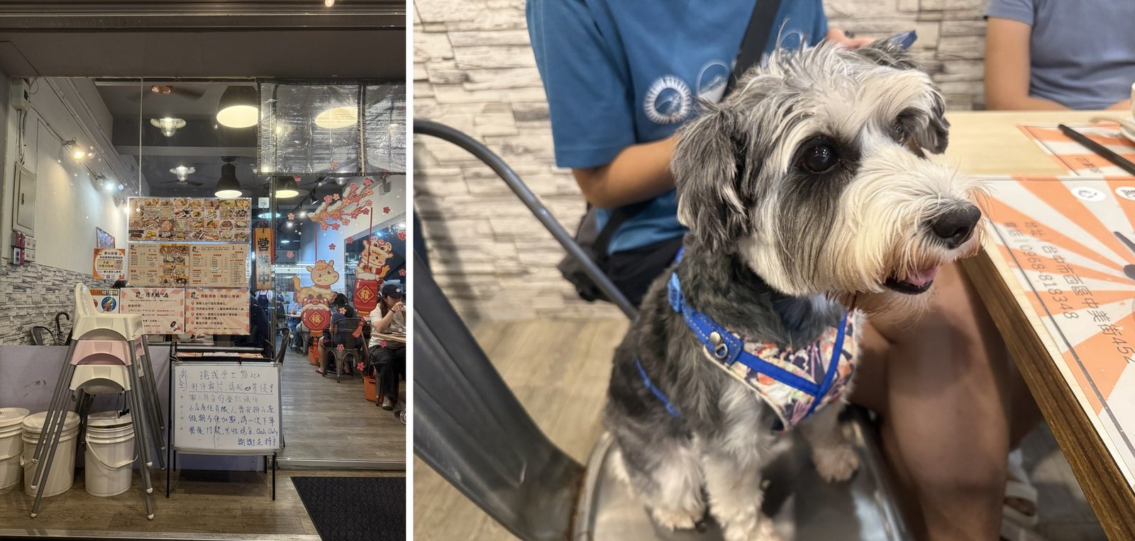 中美街 瑞全港式點心 店面外觀與樂樂在店內座位陪伴
