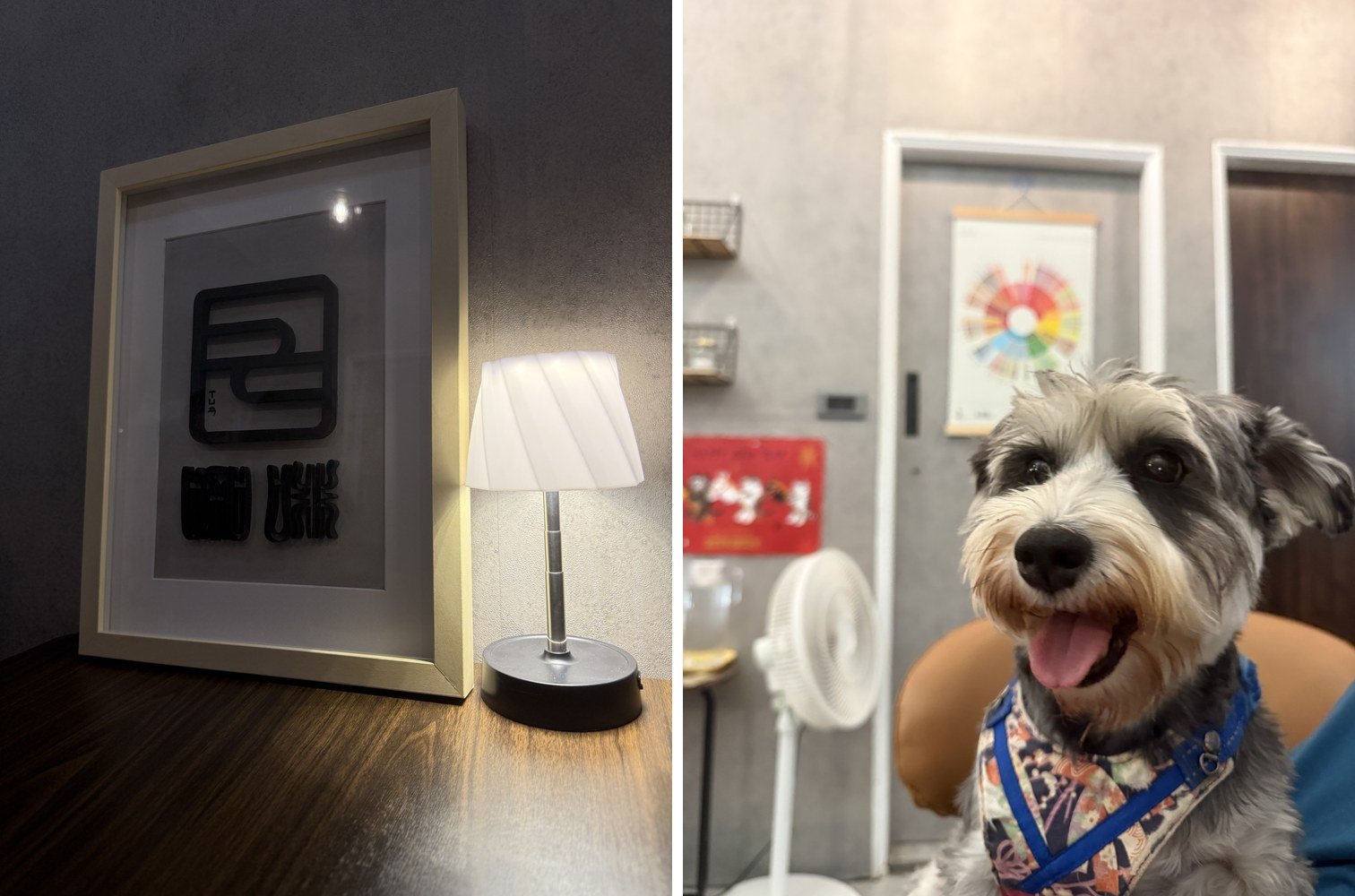 吅咖啡 質感店內擺設與樂樂在座位上開心合影